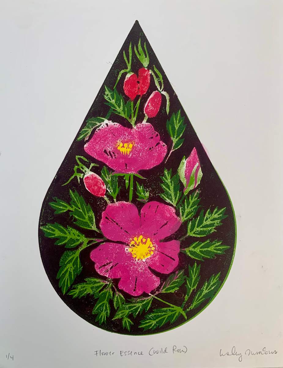 Flower Essence (Wild Rose) by Lesley Anne Numbers, Image 2.