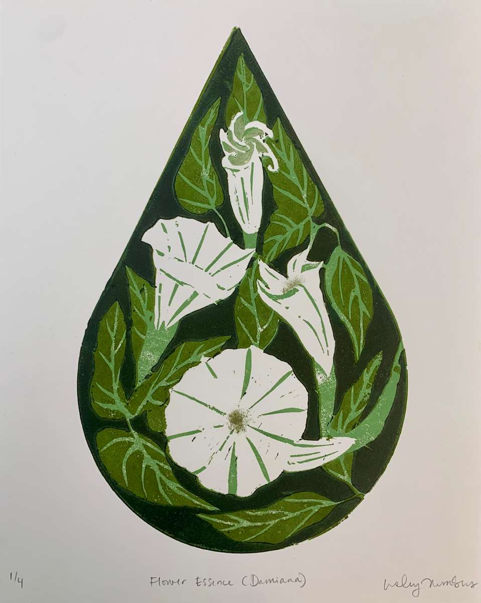 Flower Essence (Datura) by Lesley Anne Numbers 