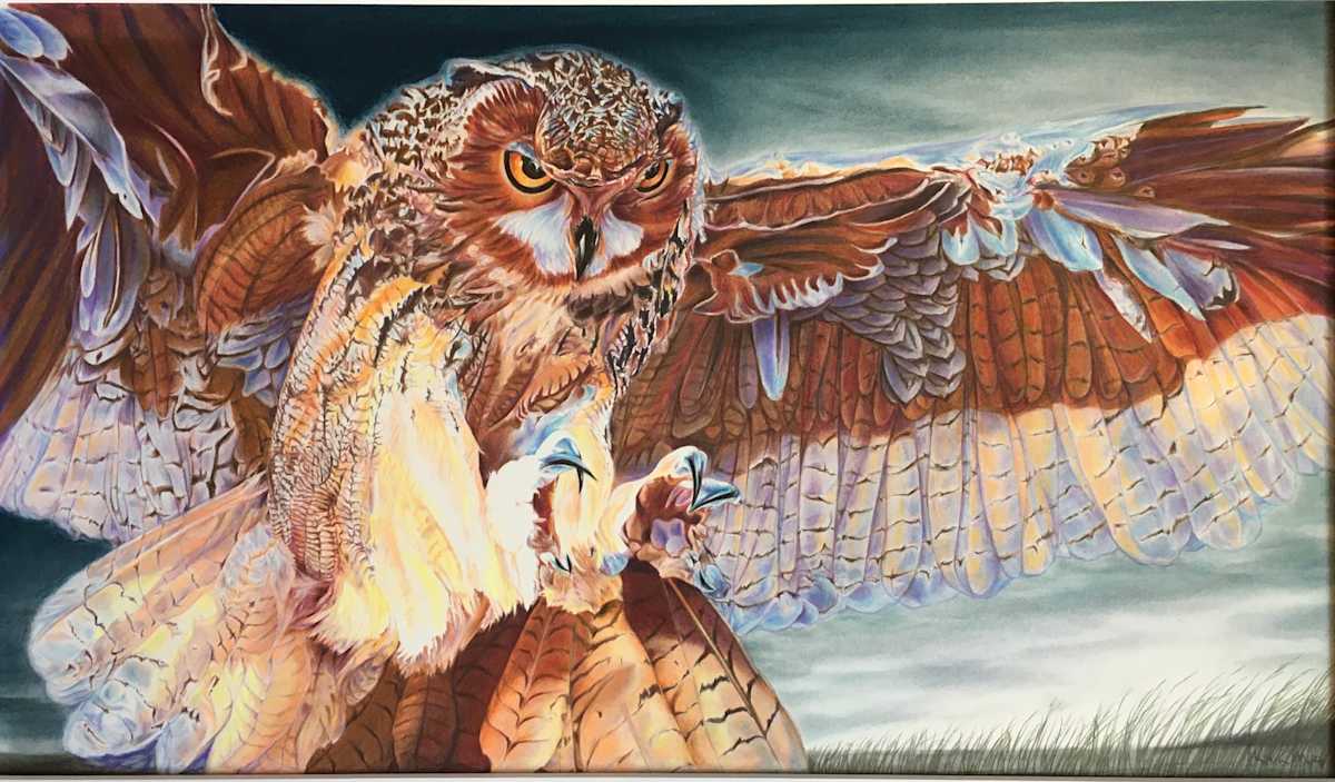Darkness Falls (Owl hunting on a fall night) by Marie May 