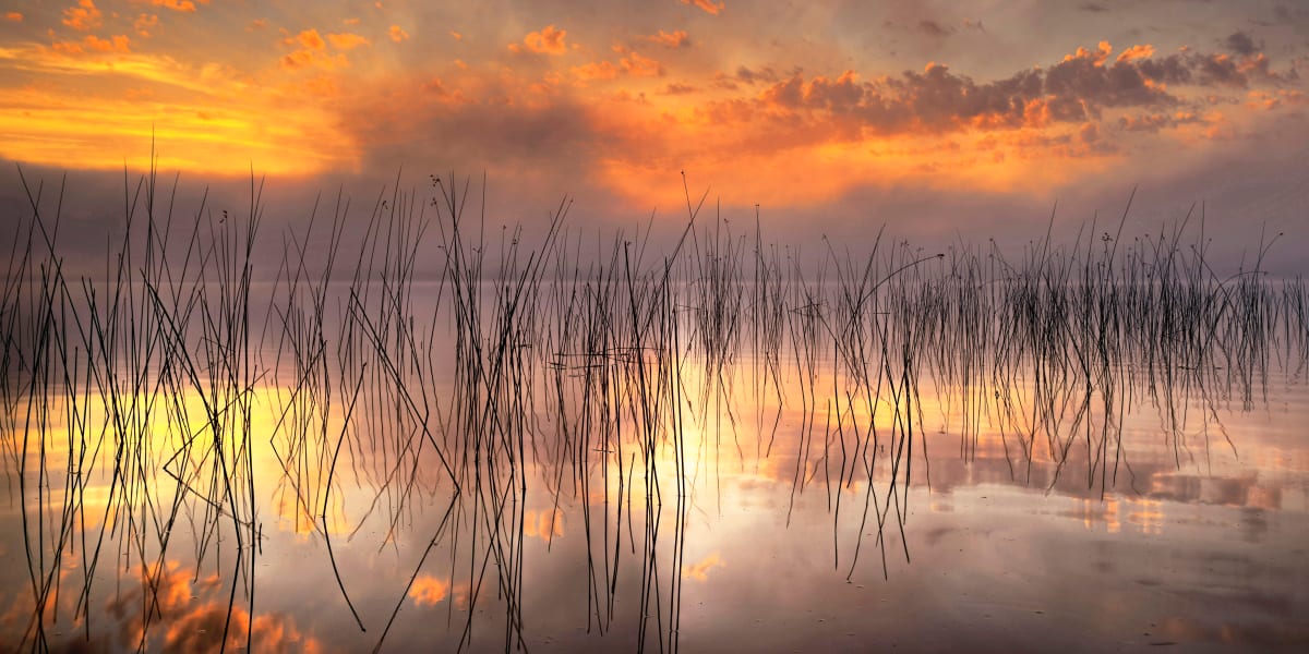 Pastel Morning by Mike Murray 