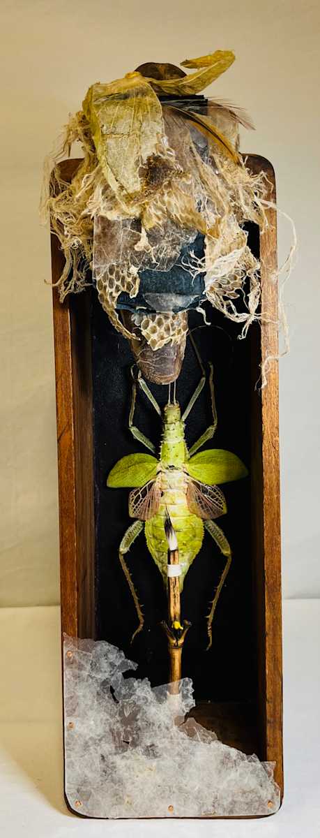 Nature's Prayer by Katherine Engen, Image 2.