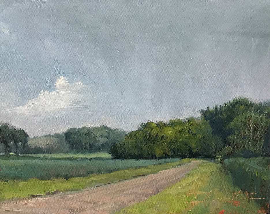 Morning: and the Rain Came Out by Jan Norsetter 