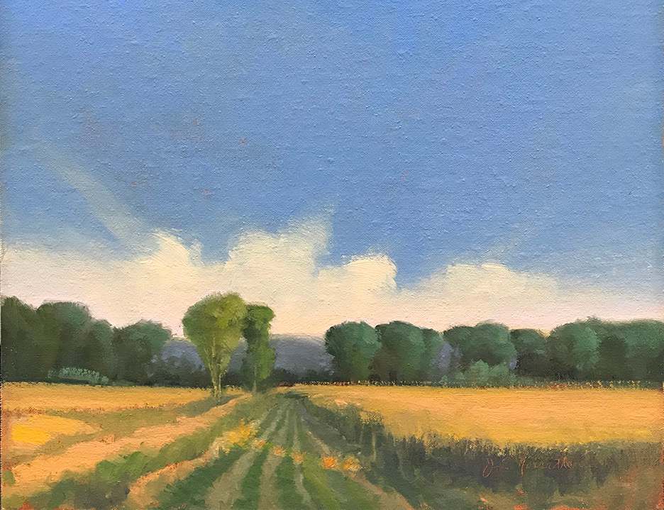 Evening: and the Sun Came Out by Jan Norsetter 
