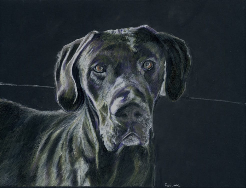 Caesar by Diane Pellowe, Image 2.