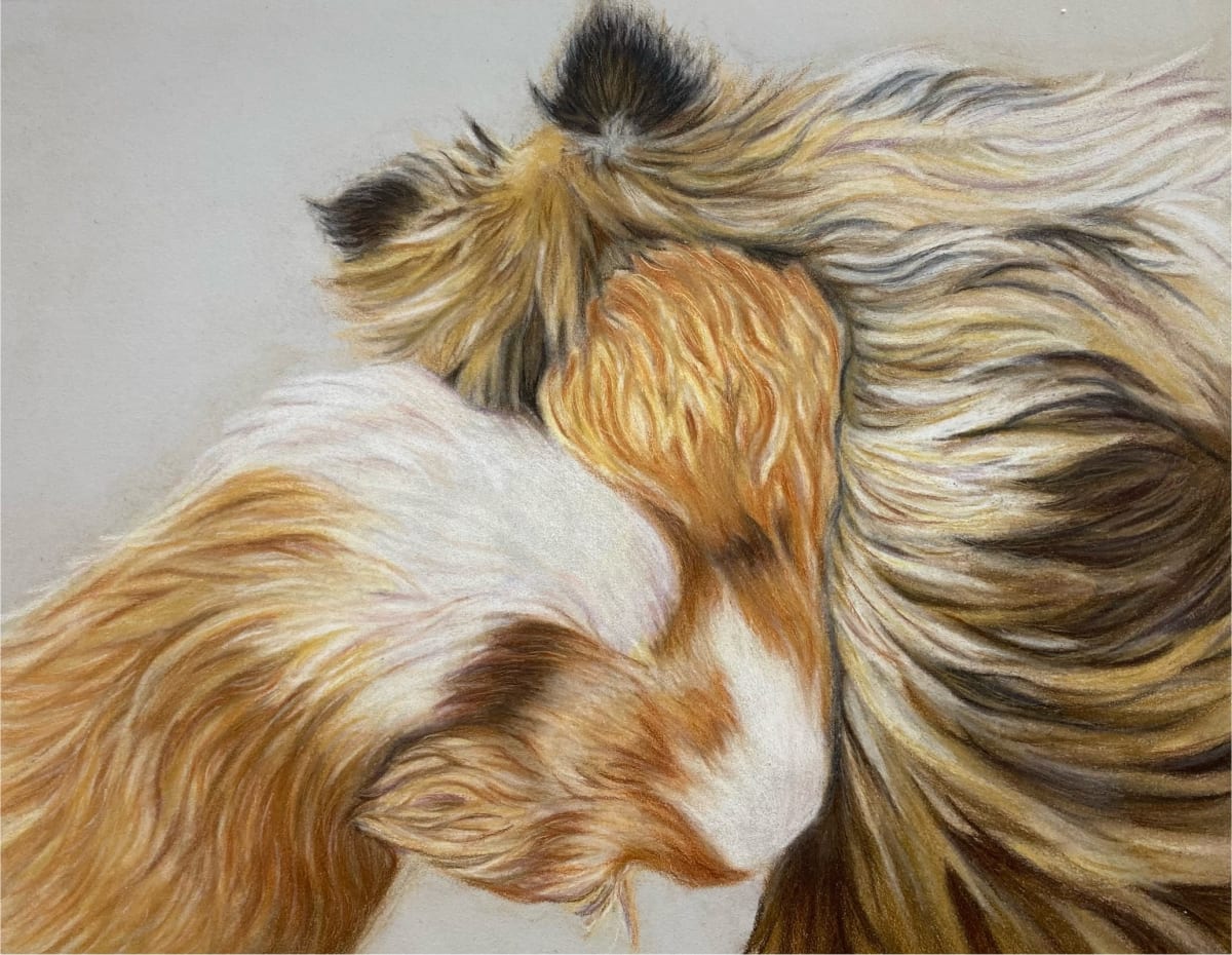 Comfort by Diane Pellowe, Image 2.