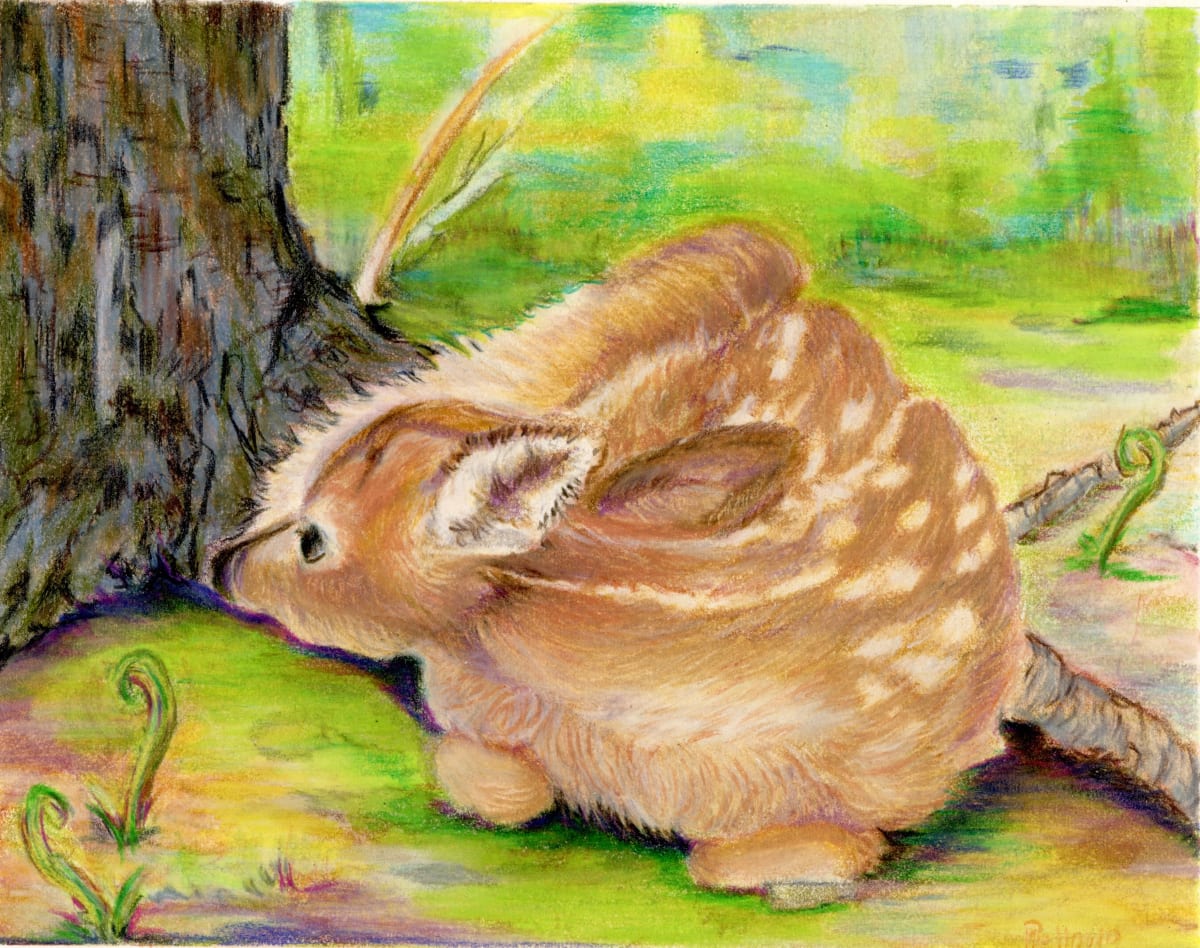 Spring Fawn by Diane Pellowe  Image: NFS