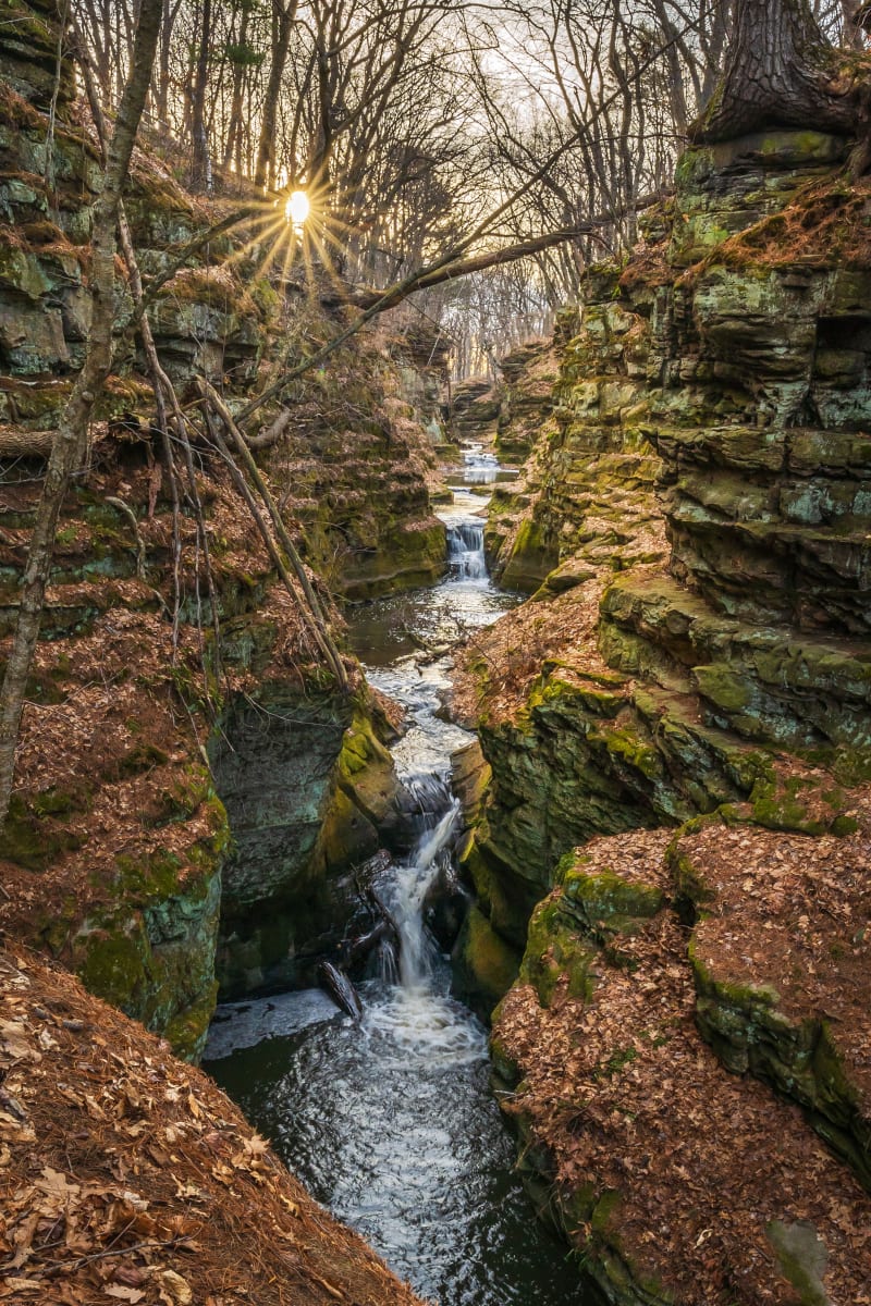 Pewit's Nest by Mike Murray, Image 1.