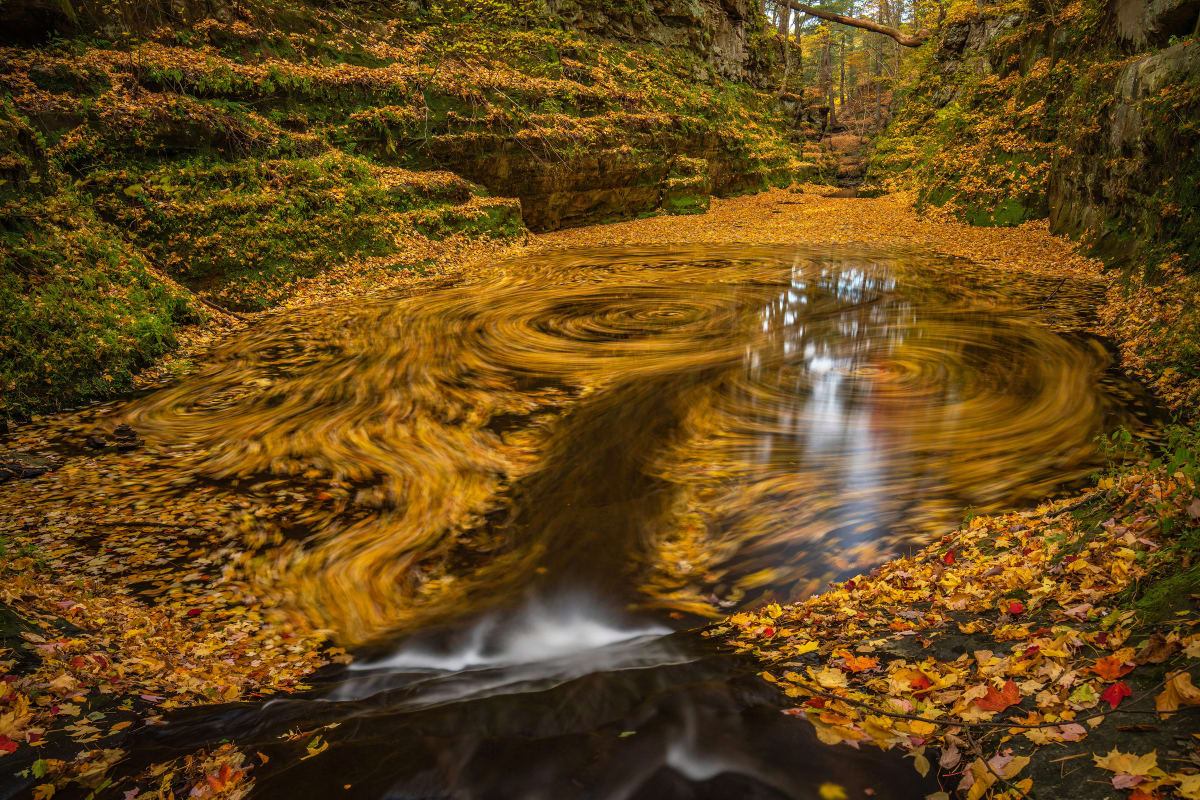 Pewits Swirl by Mike Murray 