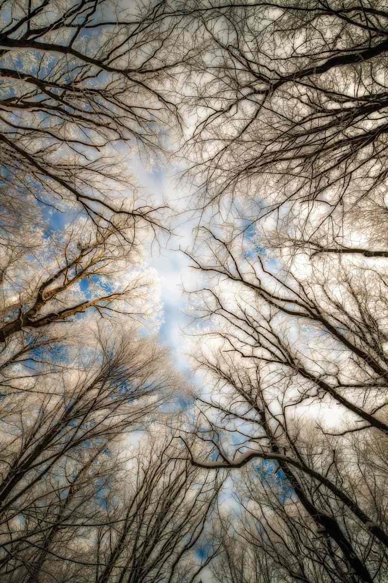 Ring of Ice by Mike Murray, Image 1.