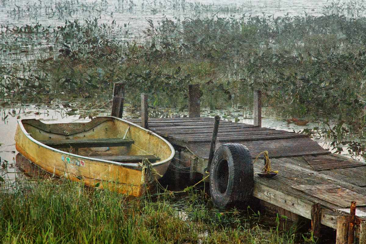 Rustic Dock by Mike Murray 