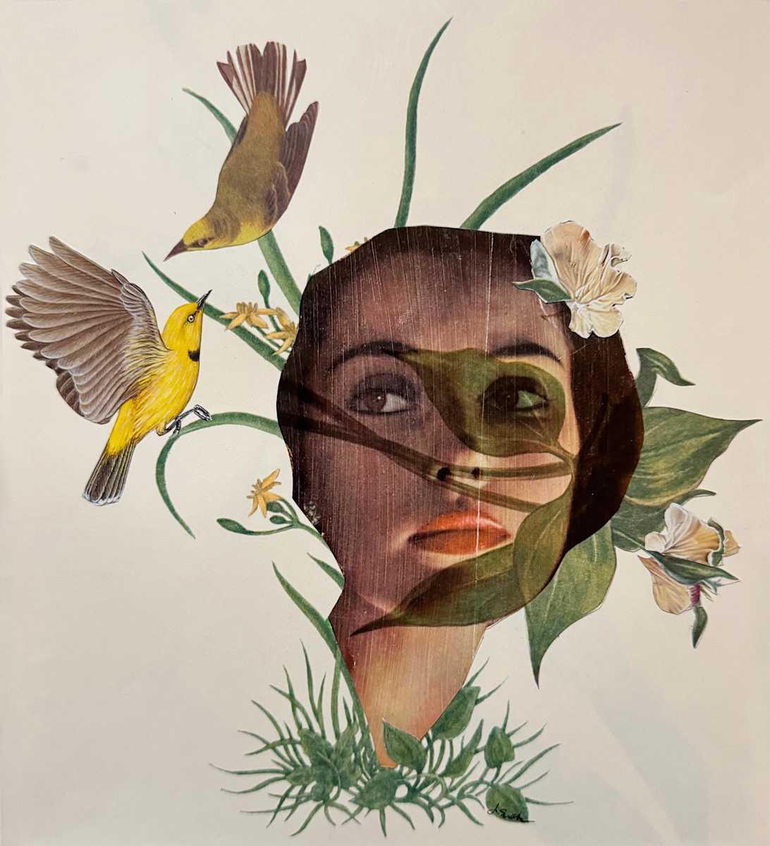 Alice's Neighbors by Jen Schultz, Image 2.