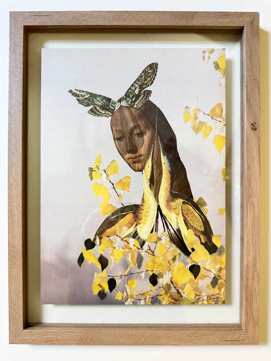 Her Veiled Crown by Jen Schultz 