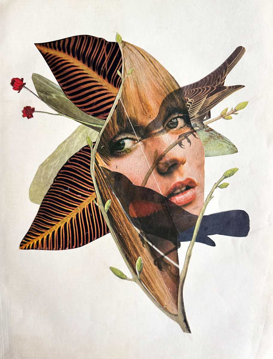 June by Jen Schultz, Image 2.