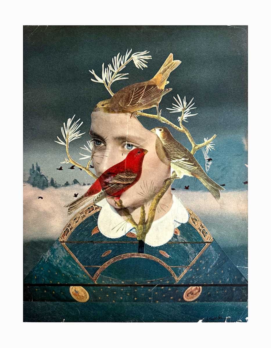 She Sees Birds by Jen Schultz 