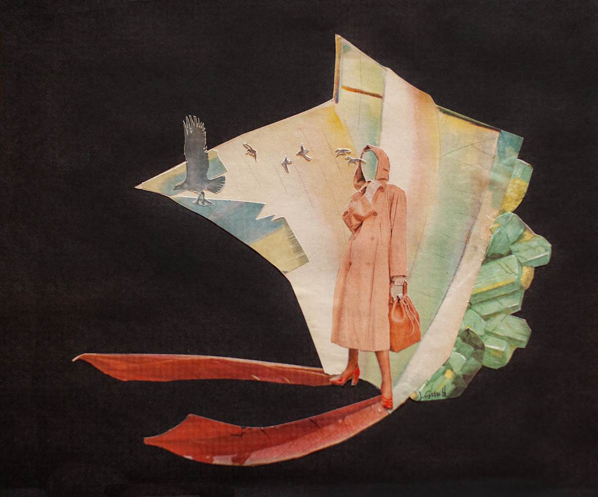 Where the Birds Begin by Jen Schultz  Image: Not For Sale