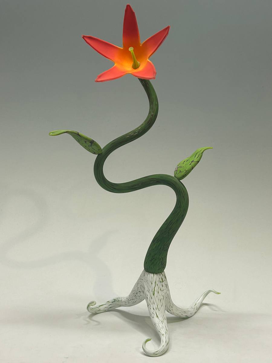 Sunset Lily by Nolan Prohaska 