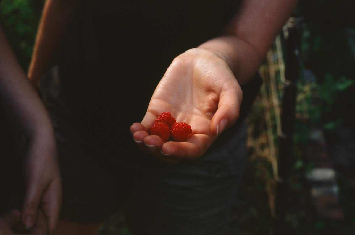 Three for Three by Jennifer Bastian, Image 2.