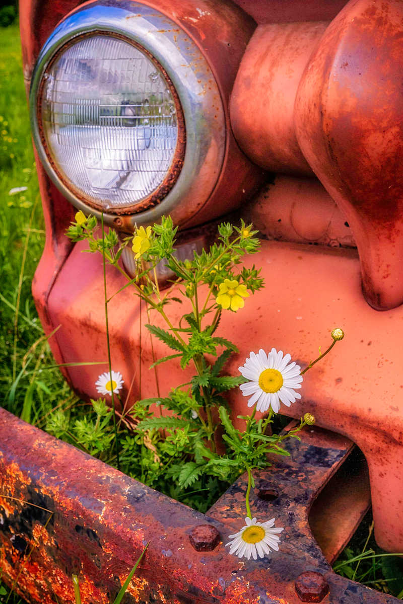 Daisy Truck by Mike Murray 