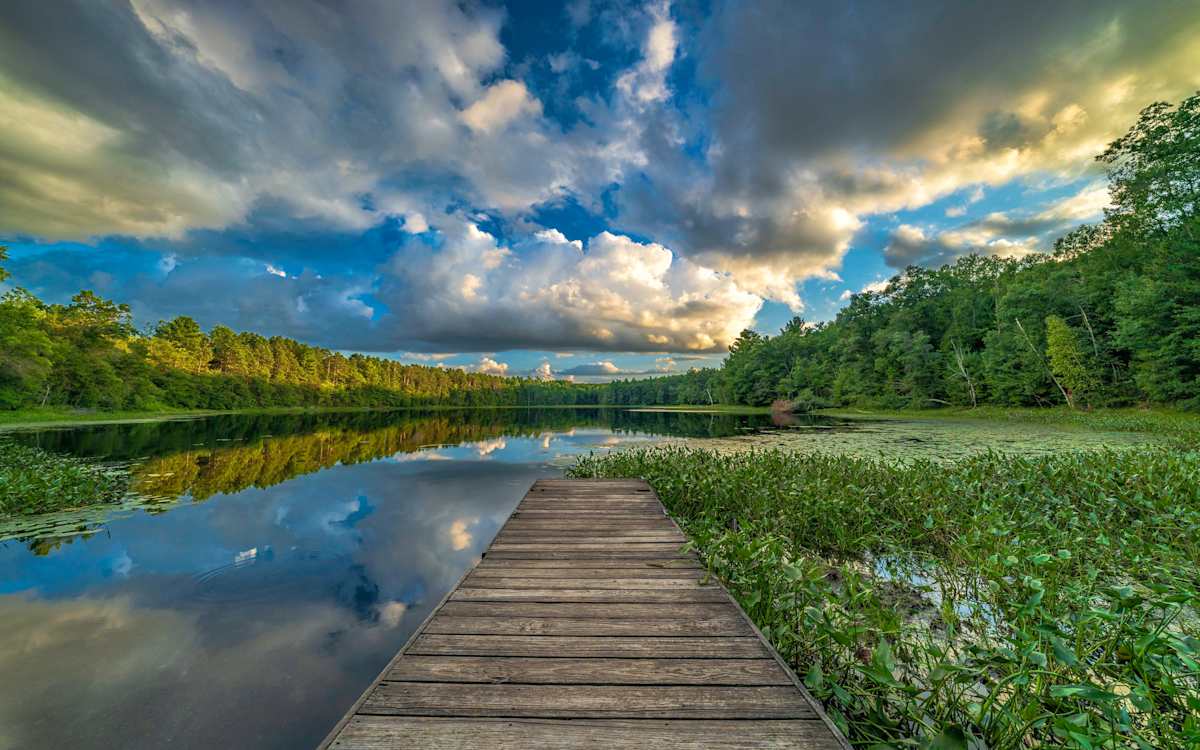 Wisconsin Summer by Mike Murray 