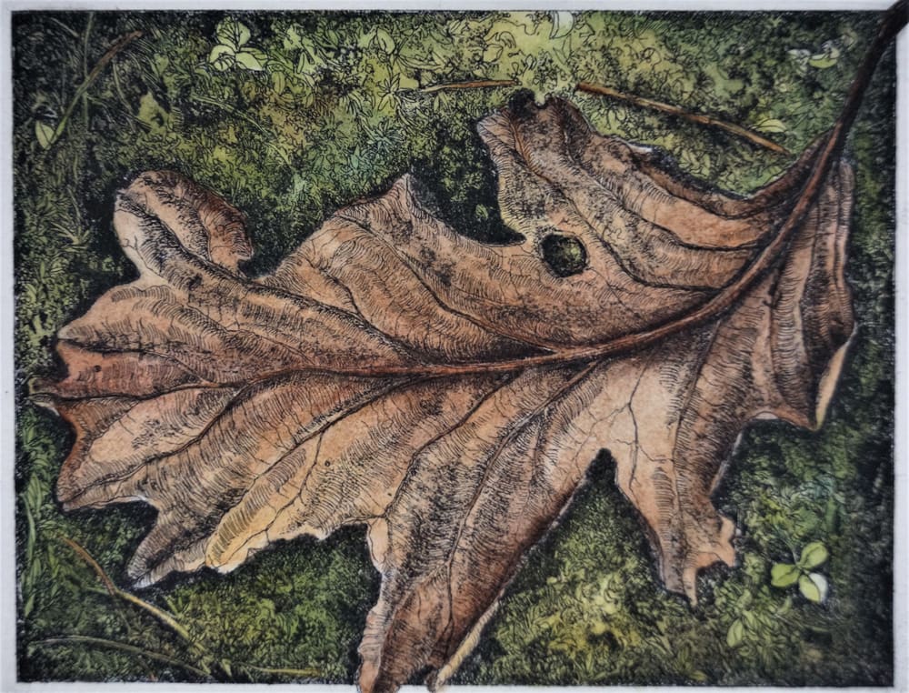 Leaf Life (Unframed) by Julie Sutter-Blair 