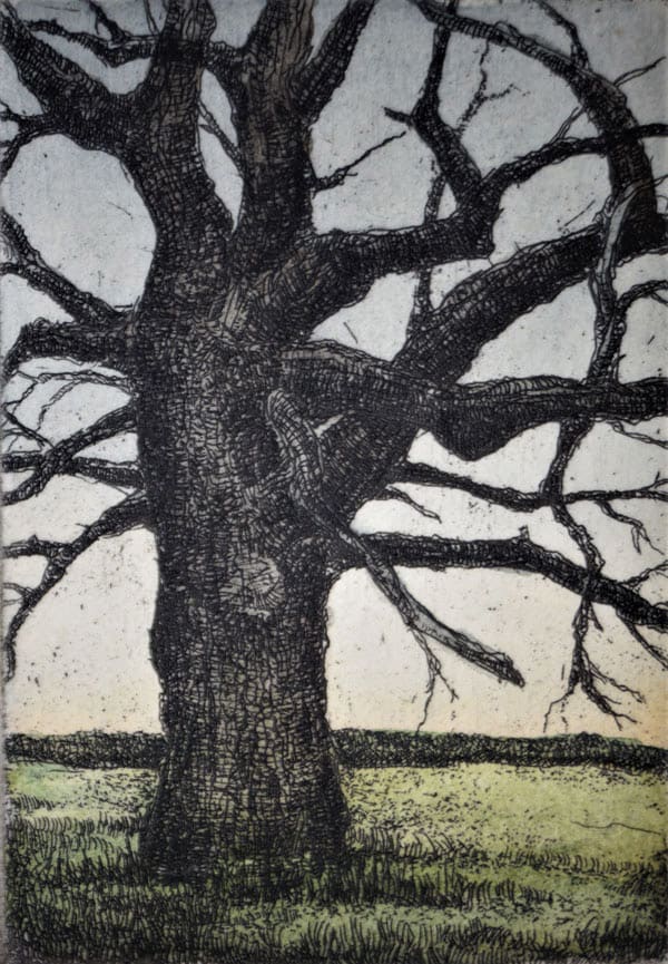 Tim's Tree (Framed) by Julie Sutter-Blair 