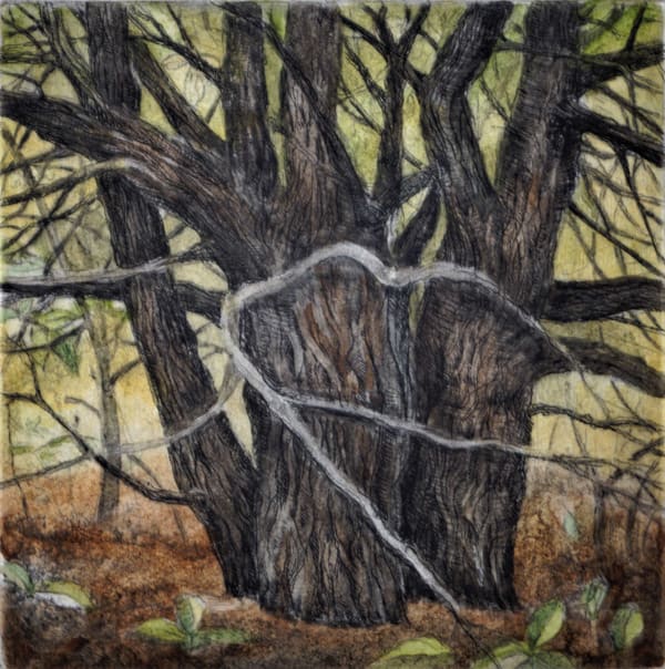 Trail Tree (Framed) by Julie Sutter-Blair 