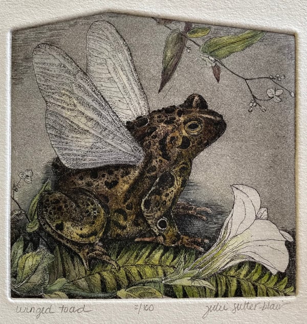 Winged Toad (Framed) by Julie Sutter-Blair 