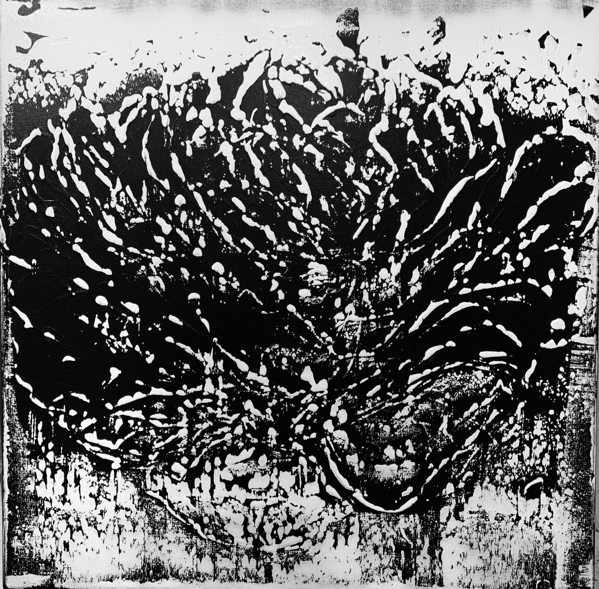 Flowers, Image 12.