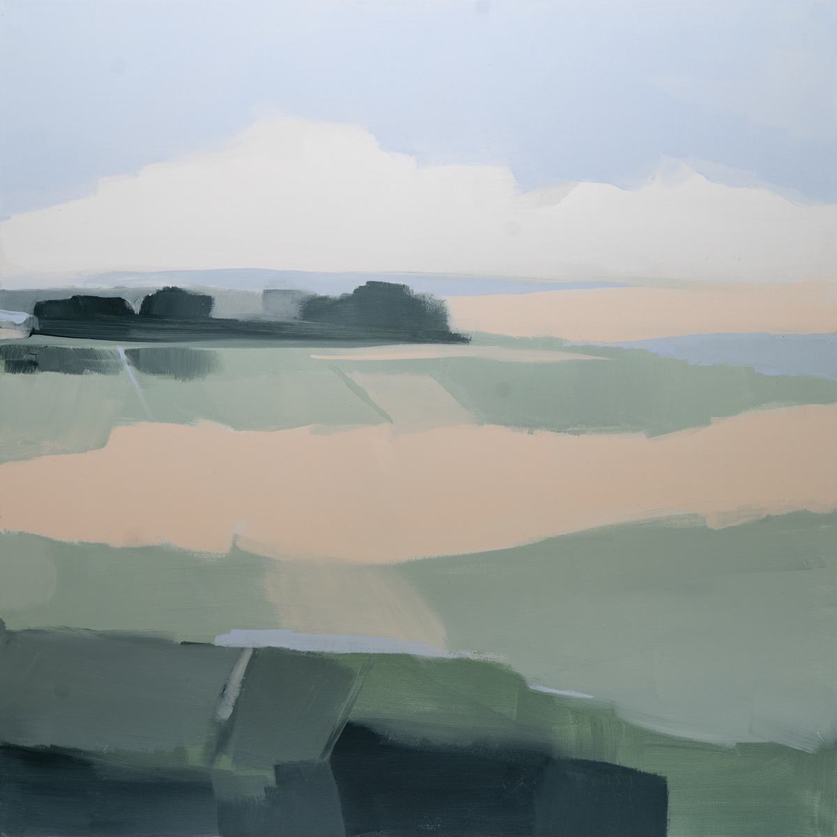 Fields in Green 2, Image 1.