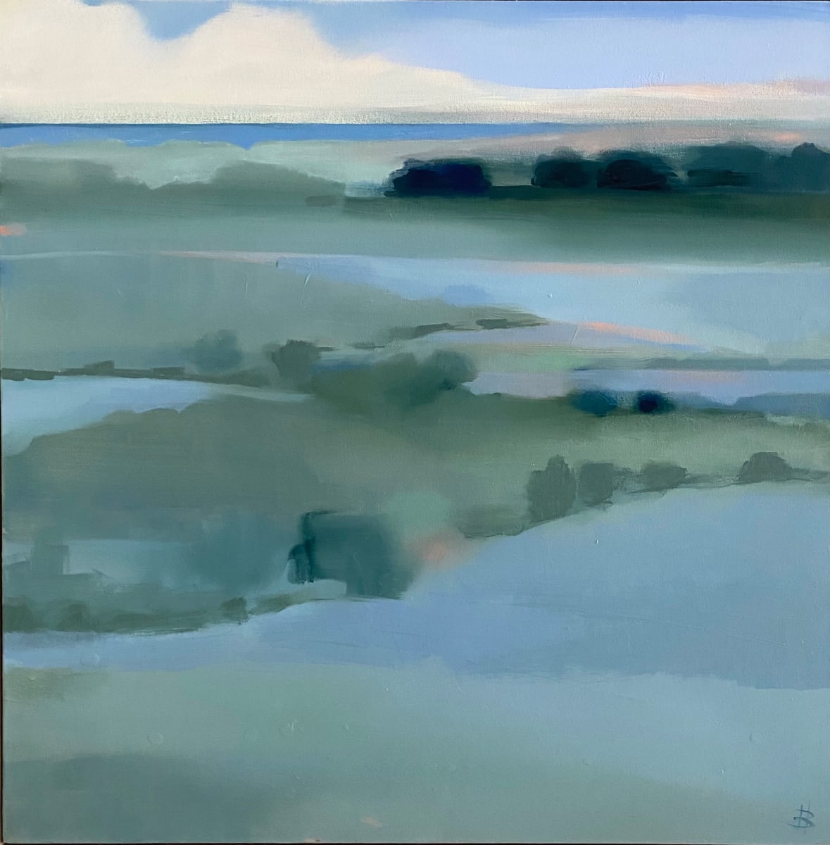 Soft Light Marsh, Image 1.