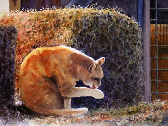 Barn Cat by Kathy Armstrong, Image 1.