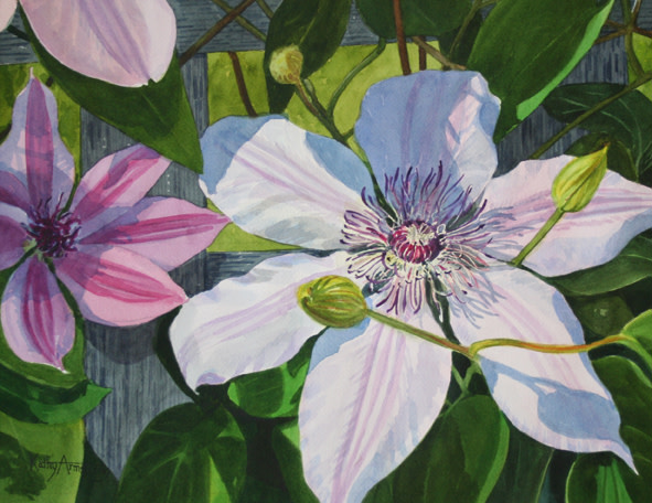 Clematis by Kathy Armstrong 