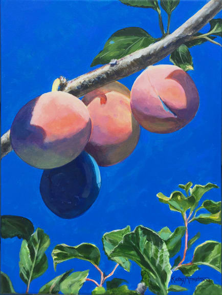 Ripening Plums by Kathy Armstrong 