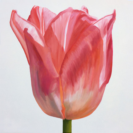 Tulip One by Kathy Armstrong 