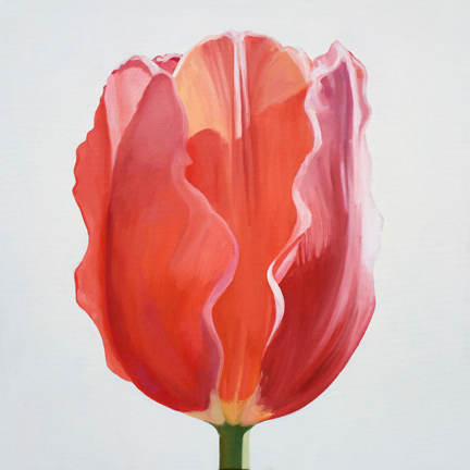 Tulip Three by Kathy Armstrong, Image 1.