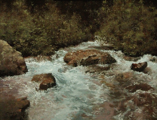Whiskey River Rapids by Jeffery Sparks 