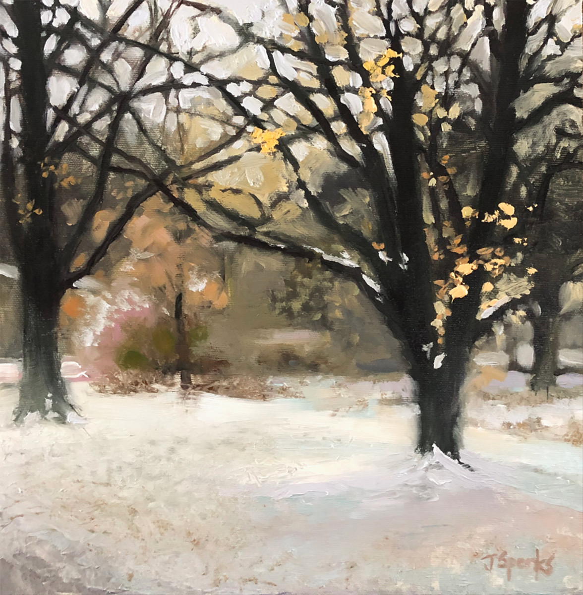 Christmas Trees by Jeffery Sparks, Image 1.