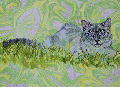 Pouncer on the Lawn by Anne KM Ross 
