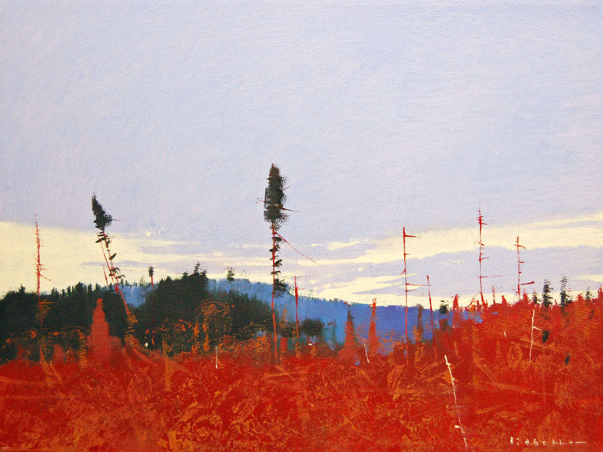 Algonquin Sky, Image 1.