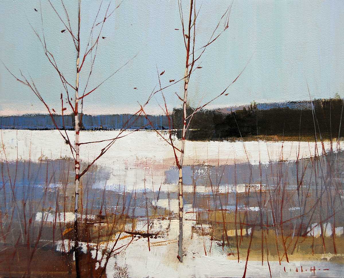Bog Birch, Image 1.