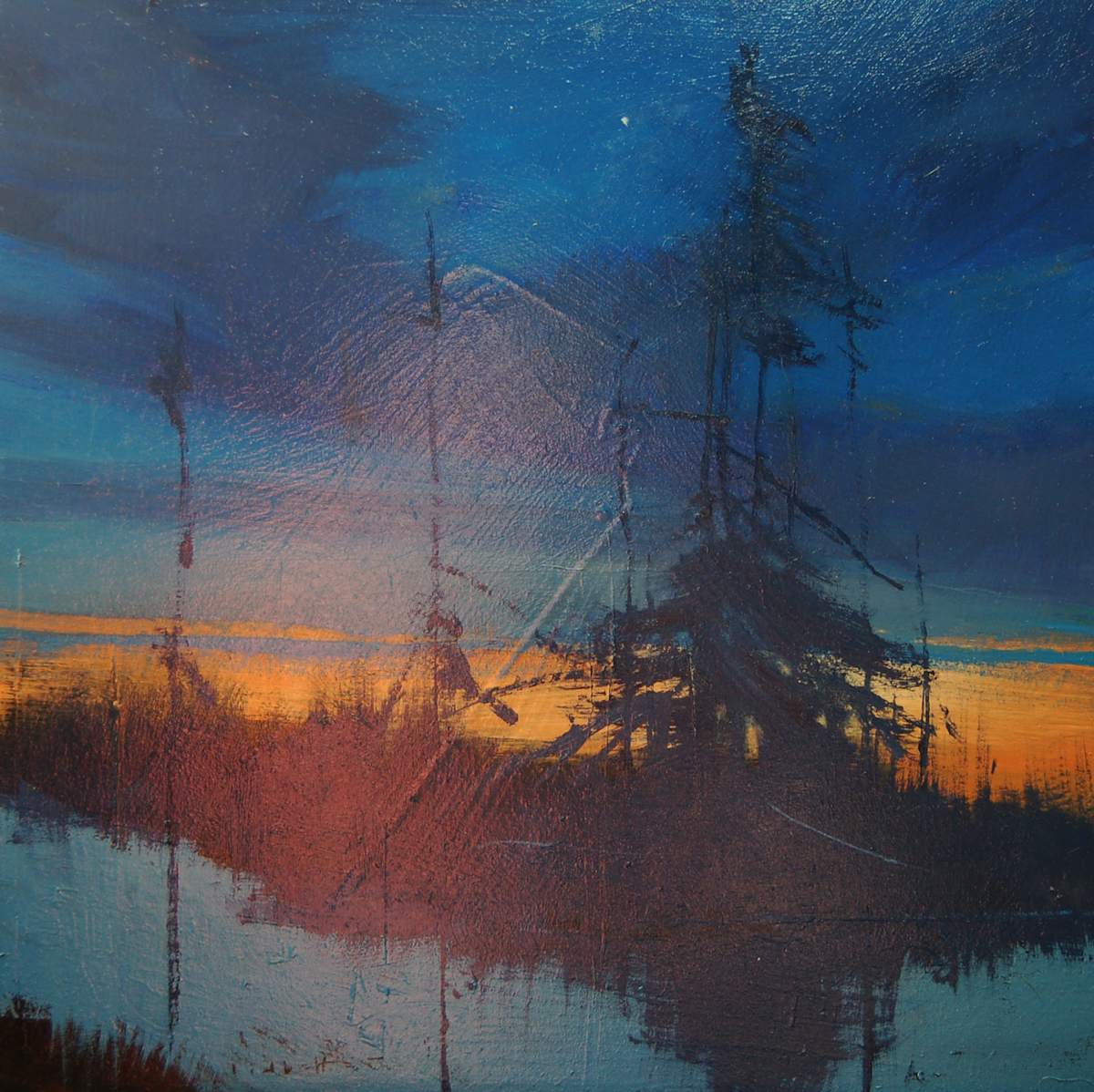 Evening Star by David Lidbetter Fine Art 