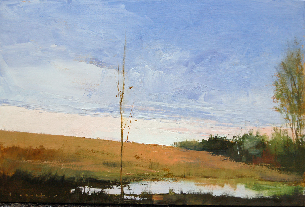 Farmers Field - Elora by David Lidbetter Fine Art, Image 1.