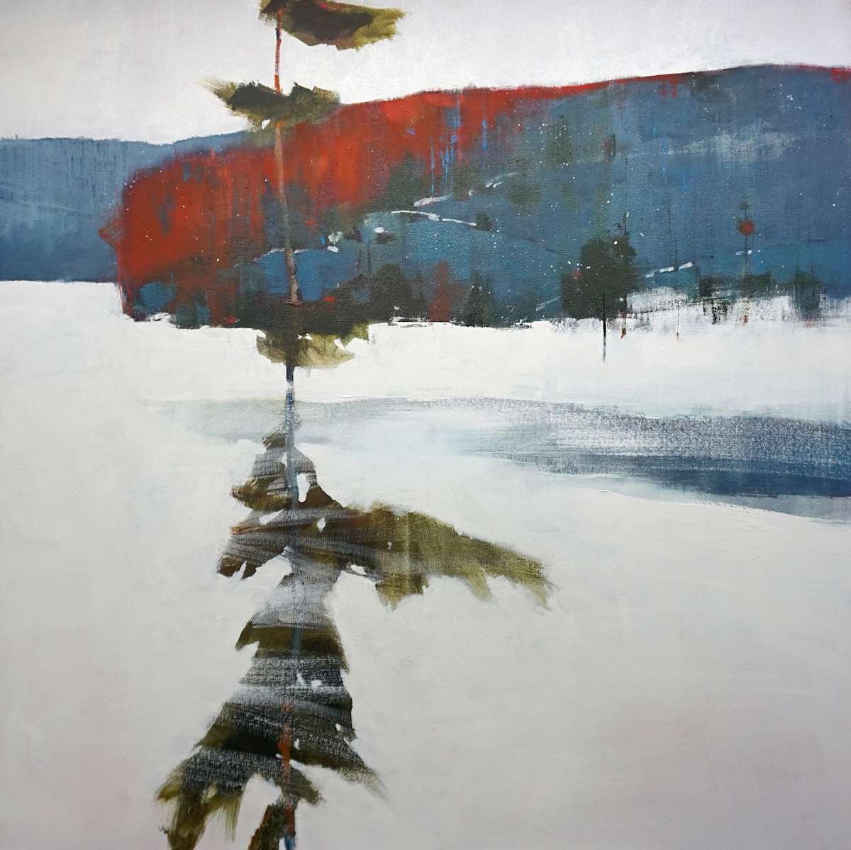 Icebound Sentinel by David Lidbetter Fine Art, Image 1.