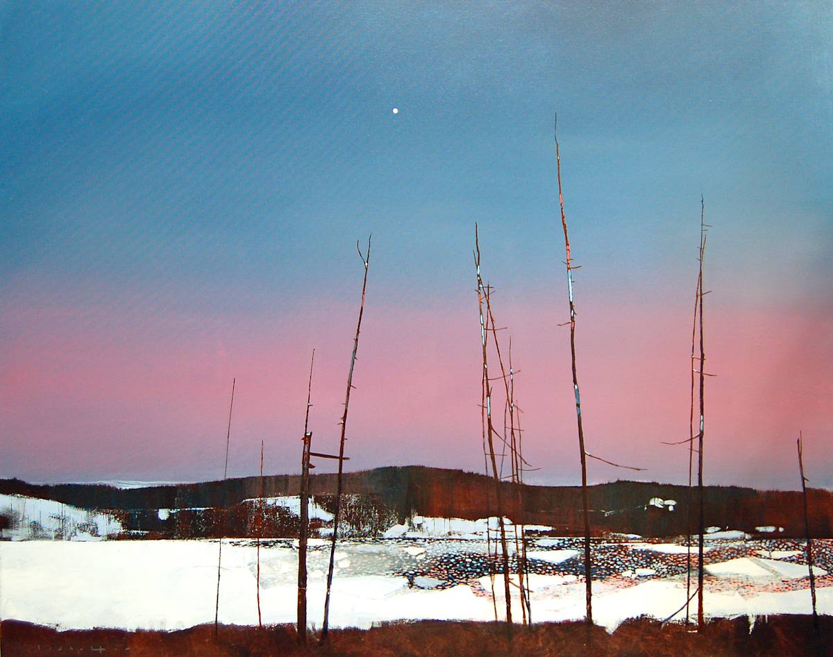 Night Sky by David Lidbetter Fine Art, Image 1.