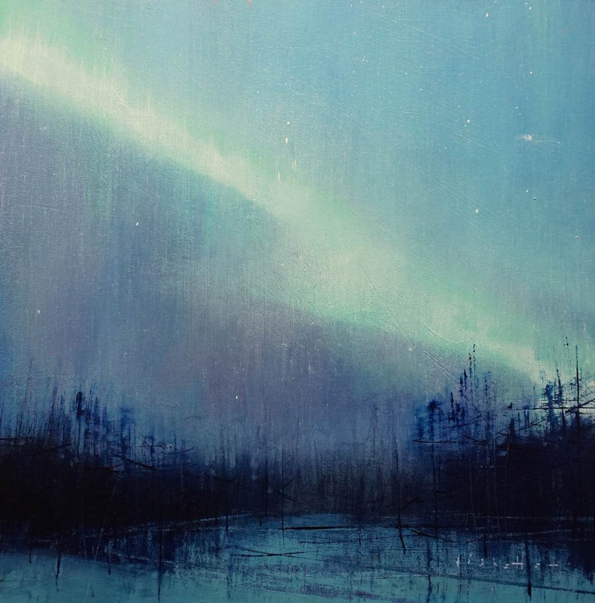 Northern Lights by David Lidbetter Fine Art 