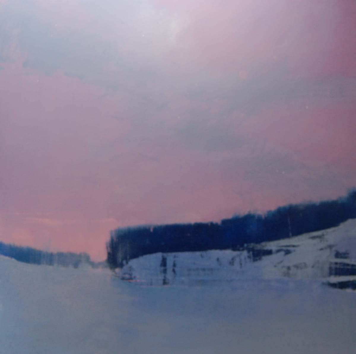 Pale Moon Rose by David Lidbetter Fine Art, Image 1.