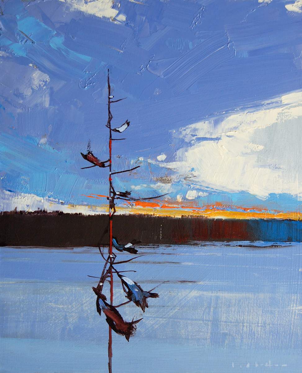 Shirley's Bay, Image 1.