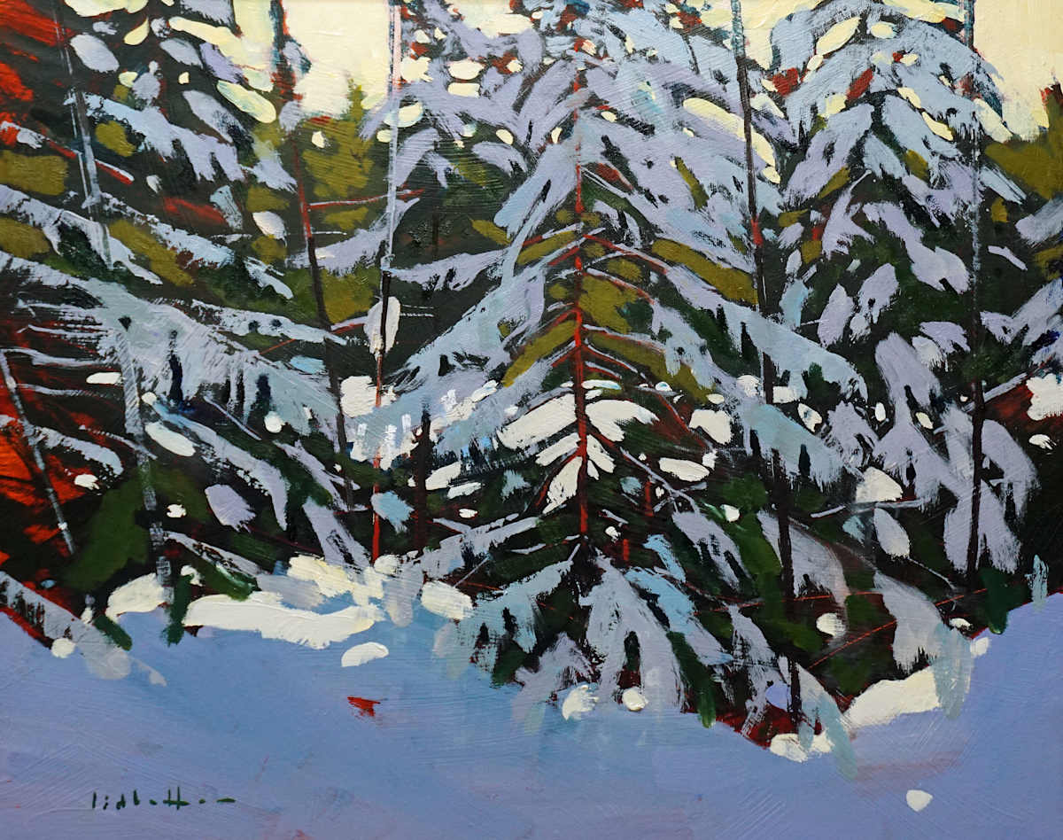 Shoreline in Shadow by David Lidbetter Fine Art 