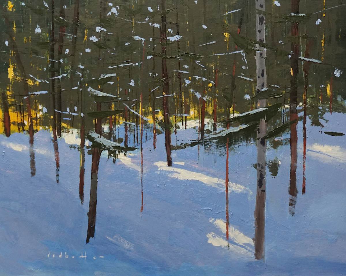Snow In The Trees by David Lidbetter Fine Art 