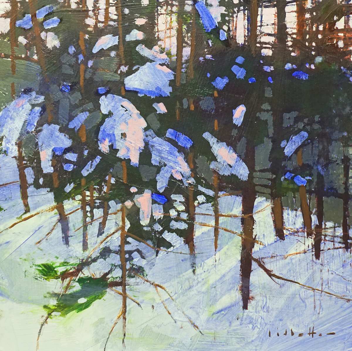 Snow Patterns by David Lidbetter Fine Art, Image 1.